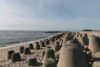 beach at hörnum