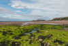 a green beach on the westcoast of scotland