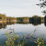 Exploring the Swedish Dalsland by Canoe