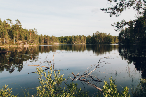 Exploring the Swedish Dalsland by Canoe