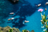 boats in crystal clear water on Capri, Italy